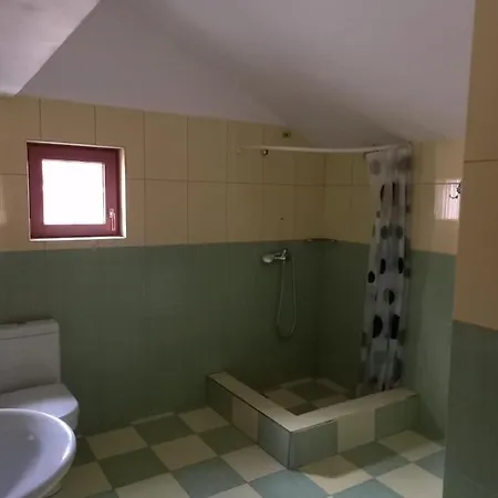 Anir Homestay